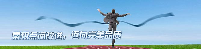 累積點滴改進，邁向完美品質--1.jpg